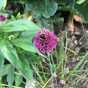 Meet your Posher, Melanie